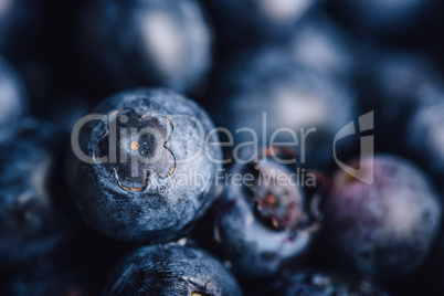 Blueberry Close Up Background
