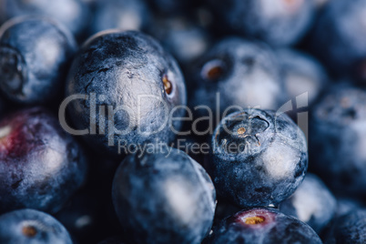 Blueberry Macro Background