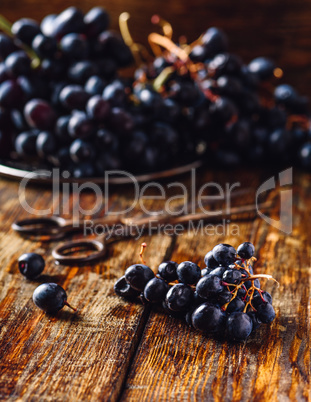 Blue Vine Grapes on wooden surface