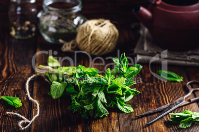 Bunch of Mint in rustic setting