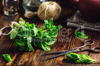 Beam of Mint in rustic setting