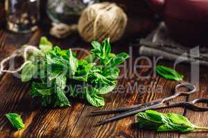 Beam of Mint in rustic setting