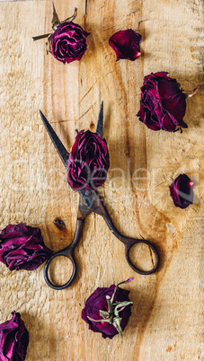 Scissors with Rosebuds.