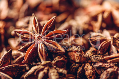 Star Anise Fruits and Seeds.