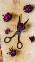 Scissors with Rosebuds.