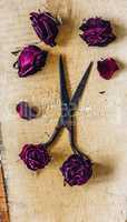 Scissors with Rosebuds.