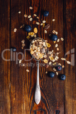 Spoonful of Granola and Blueberry.