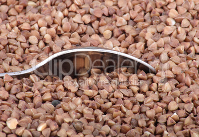 buckwheat background and one teaspoon