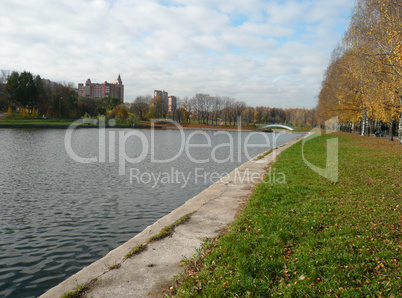 pond in city park