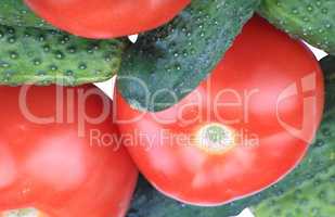 cucumber and  tomato