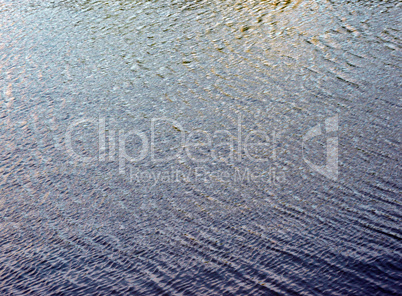 ripple on water in city park pond at day