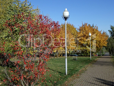 Autumn in city park at dry sunny day