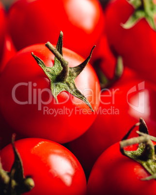 Cherry Tomatoes Backdrop