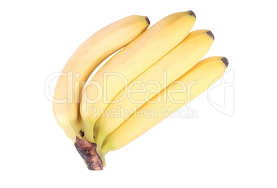 many yellow banana isolated
