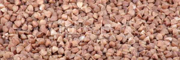 many of buckwheat food background