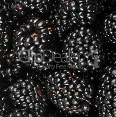 many BlackBerry at day