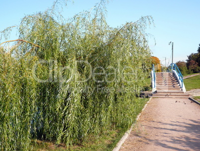 bridge over pond