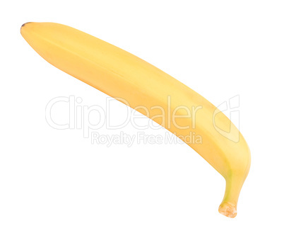 one raw Yellow Banana Isolated at dry sunny day