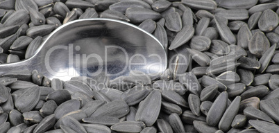 sunflower seeds background and teaspoon