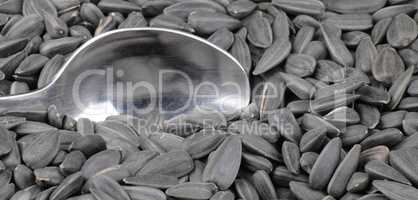 sunflower seeds background and teaspoon