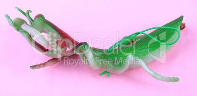 mantis toy on pink background at day