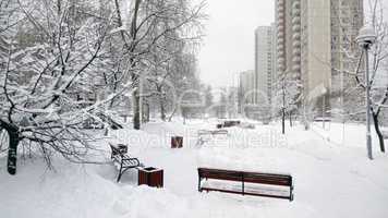 city park after snowfall at day