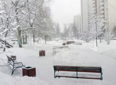 city park after snowfall at day