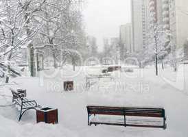 city park after snowfall at day