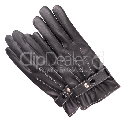 two Leather Gloves Isolated