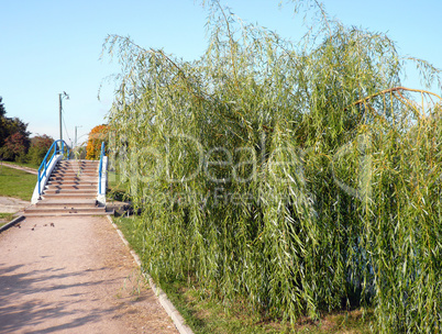 bridge over pond