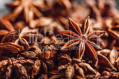 Background of Anise