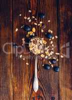 Spoonful of Granola and Blueberry.