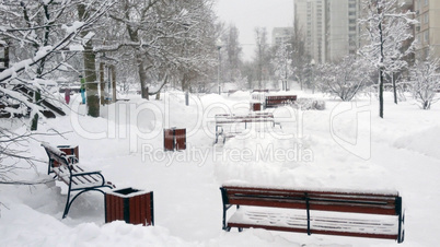 city park after snowfall at day