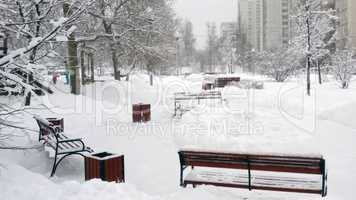 city park after snowfall at day