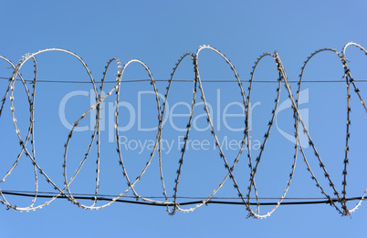 barbwire on sky background