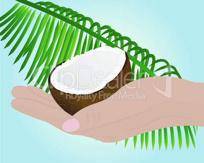 Coconut half in a hand and palm leaf