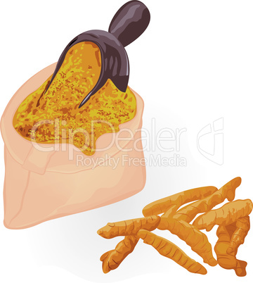 Turmeric roots and powder in a bag on a white background