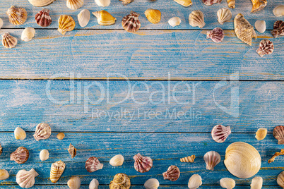 Summer time concept with sea shells on a blue wooden background