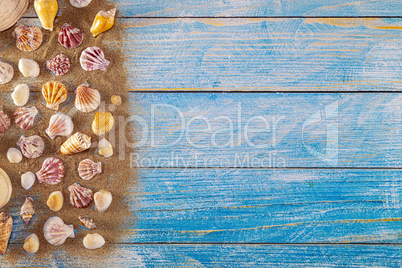 Summer time concept with sea shells on a blue wooden background