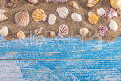 Summer time concept with sea shells on a blue wooden background