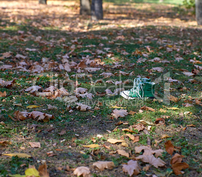 green old textile sneakers stand  in the middle of an autumn for