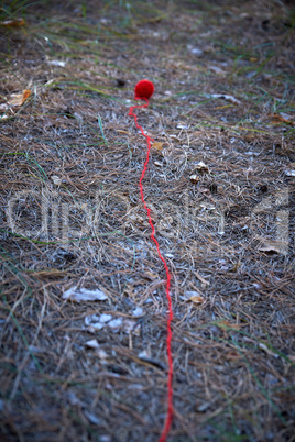 small red wool ball unwound in the middle of the forest