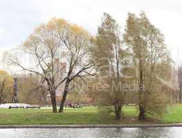 autumn in city park