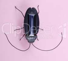 Electronic Bug Toy on Pink Background