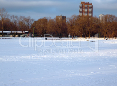 winter in city park in January  at day time