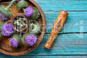 Milk thistle with flowers