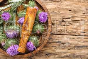 Milk thistle with flowers