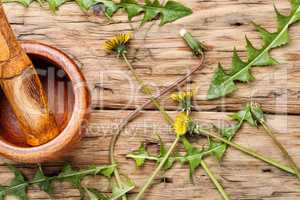 Fresh dandelion greens