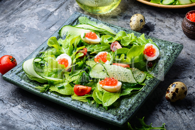 Full plate of fresh salad