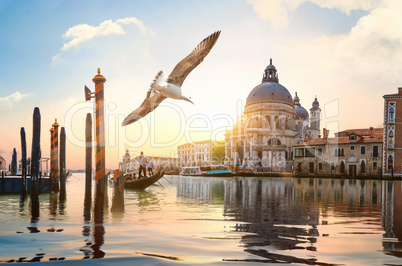 Gand Canal in Venice